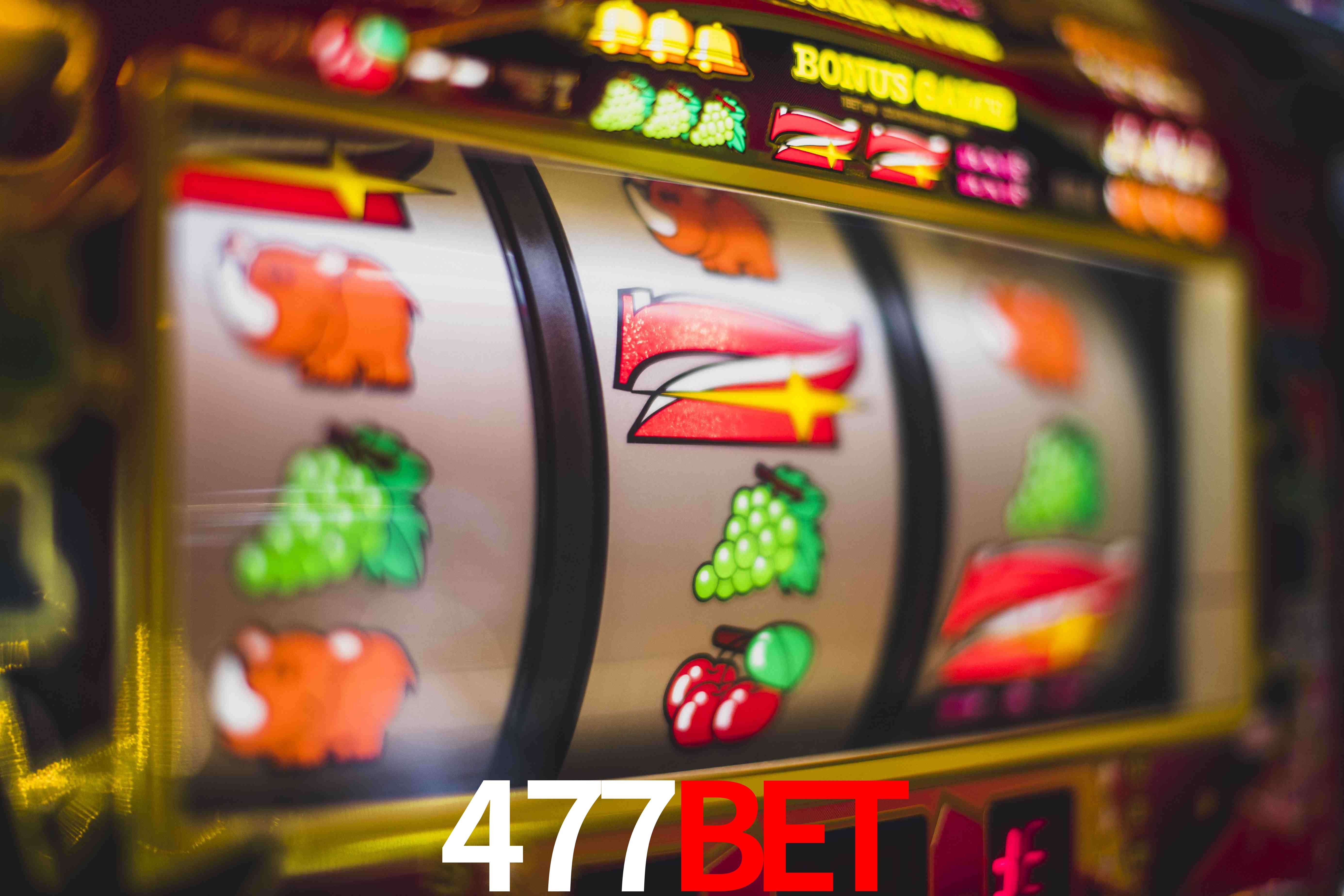 Experiência VIP 477bet