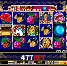 477bet Salvador - Bonus Stats